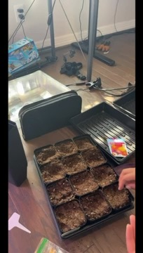 Starting from Seed video preview from Dirt Cute Blooms.