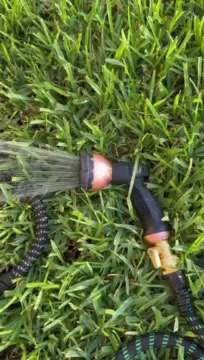 Watering Day video preview from the Dirt Cute Blooms UGC portfolio.